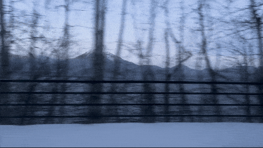 678f816a7eb47 IMG 4367 ezgif com optimize